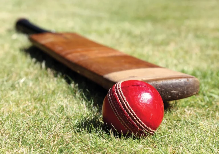 Cricket: A Strong Pillar Of Economy In 2024?